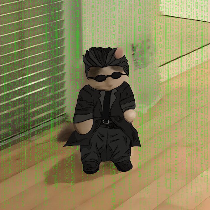 doctorbu11's tweet photo. @Sartoshi0x $michi is HIM https://t.co/fygBlQDJTN
