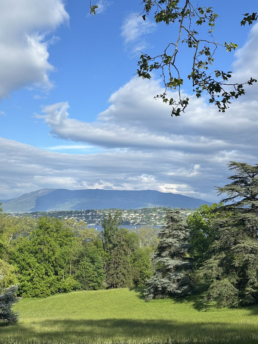 It was a quick trip to Geneva this week to represent @CIHR_IRSC @CIHR_IHDCYH at the Council meeting for the Healthy Life Trajectories Initiative (#HeLTI) and @WHO consultation on preconception care. More about #HeLTI at: cihr-irsc.gc.ca/e/49510.html and helti.org