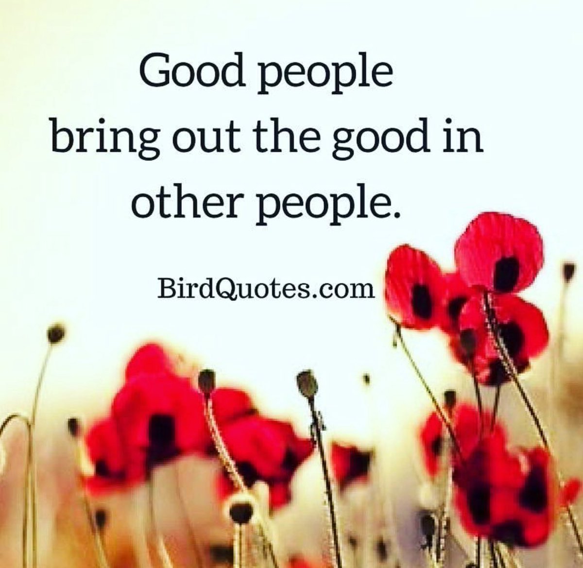 Thursday Friendly Reminder… Good people bring out the good in other people. #ThankfulThursday 🙌❤️#KindnessMatters #ThursdayThoughts