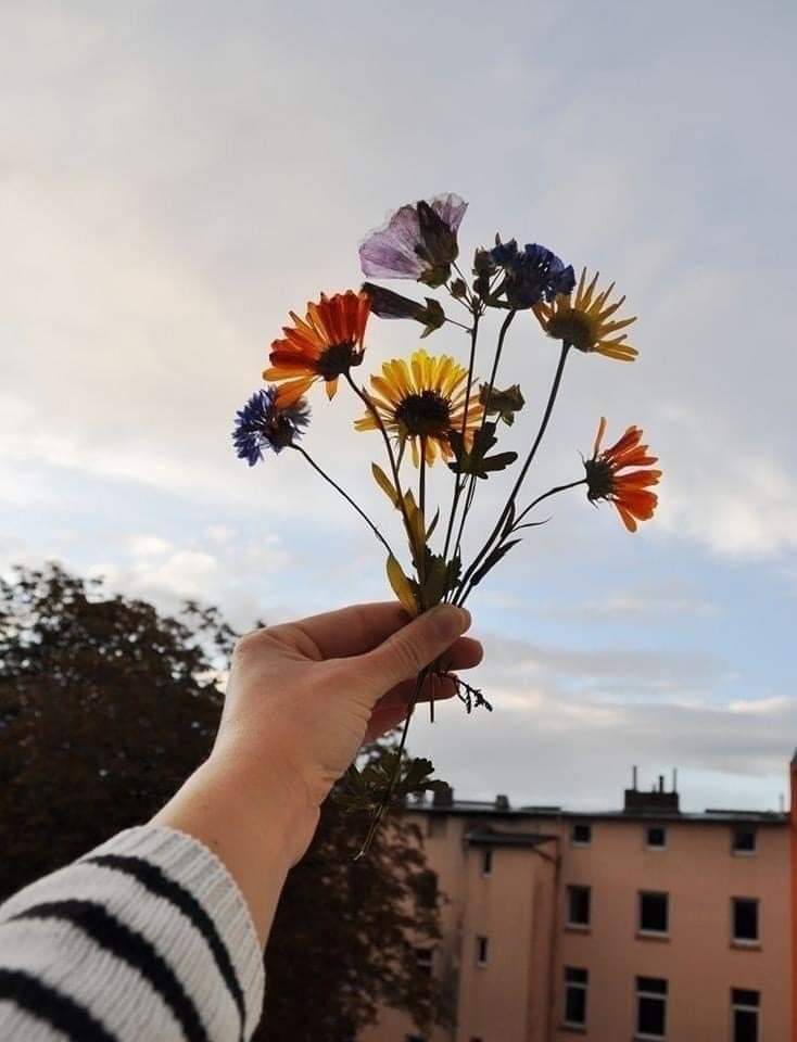 sunflow23002724's tweet image. บางความสัมพันธ์เหมาะกับการซัพพอร์ท มากกว่าการครอบครอง.❤️‍🩹