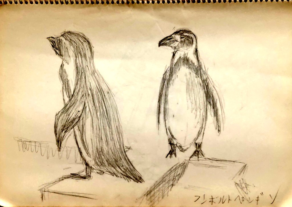 スケッチブックを晒す
野毛山動物園に行った時のだな。入場無料。 