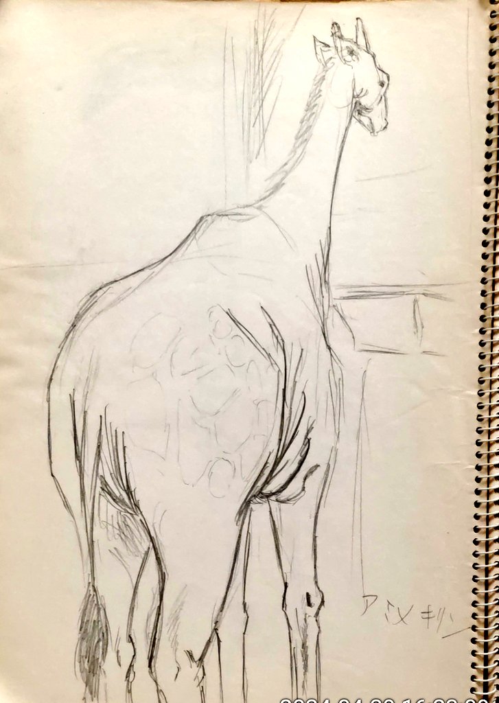 スケッチブックを晒す
野毛山動物園に行った時のだな。入場無料。 