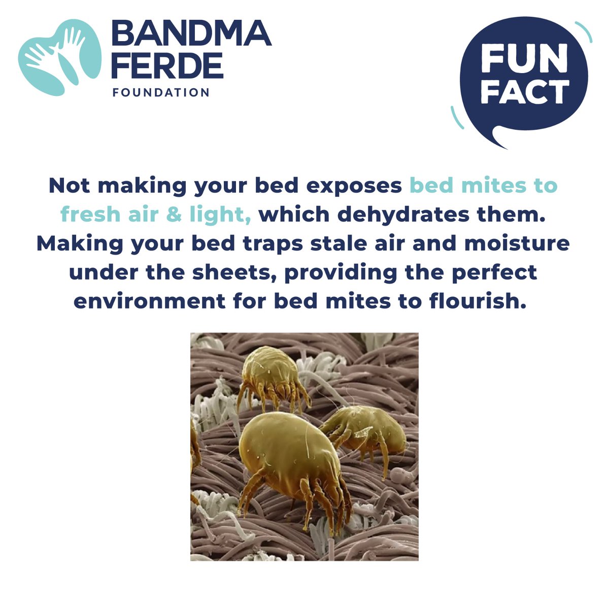 𝐅𝐮𝐧 𝐅𝐚𝐜𝐭: Not making your bed exposes bed mites to fresh air & light, which dehydrates them. For more information visit the link: linktr.ee/Bandmaferdefou… #Bandmaferdefoundation #Bandmaferde #NGOIndia #nonprofitorganizationindia #funfacts #facts #hygienetips #bedmaking