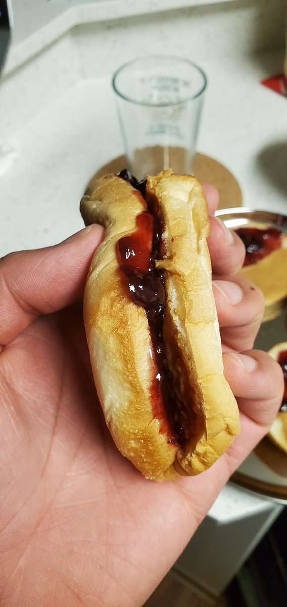 Pb and j hot dog in a hamburger Bun