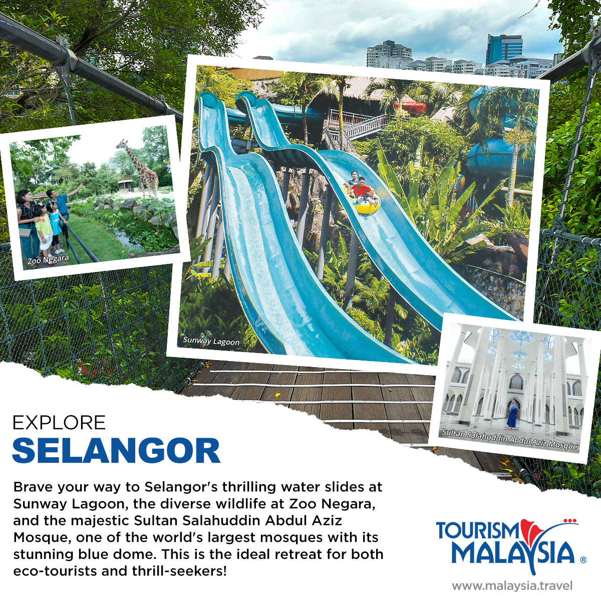 📍 Selangor, Malaysia 📍

Experience the ecological wonders of Selangor with @TourismMalaysia, where nature and wildlife flourish amidst stunning landscapes and unparalleled natural beauty that promises an unforgettable adventure! 🌿

#MalaysiaTrulyAsia #VisitMalaysia2026