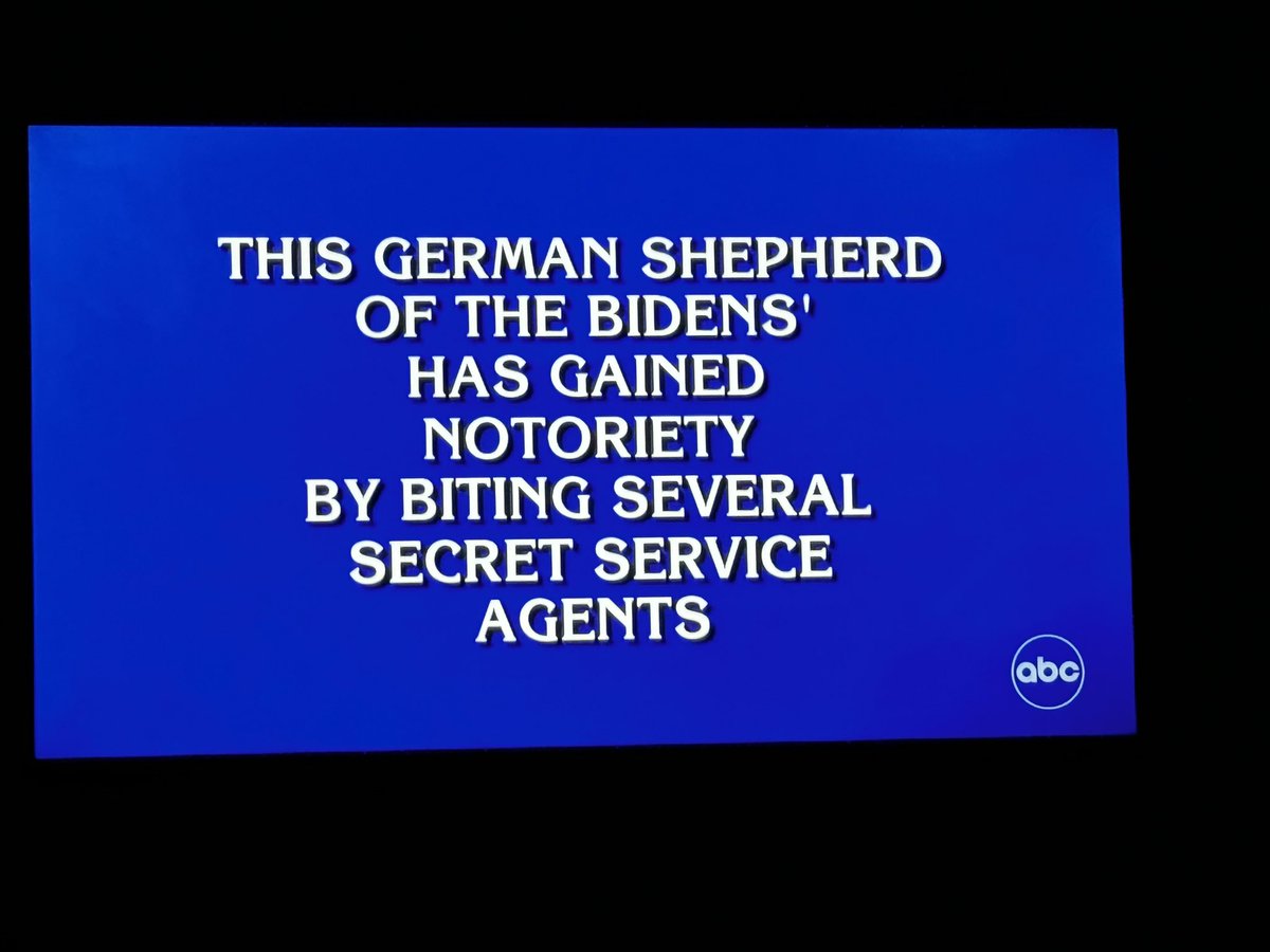 justinsink's tweet image. 