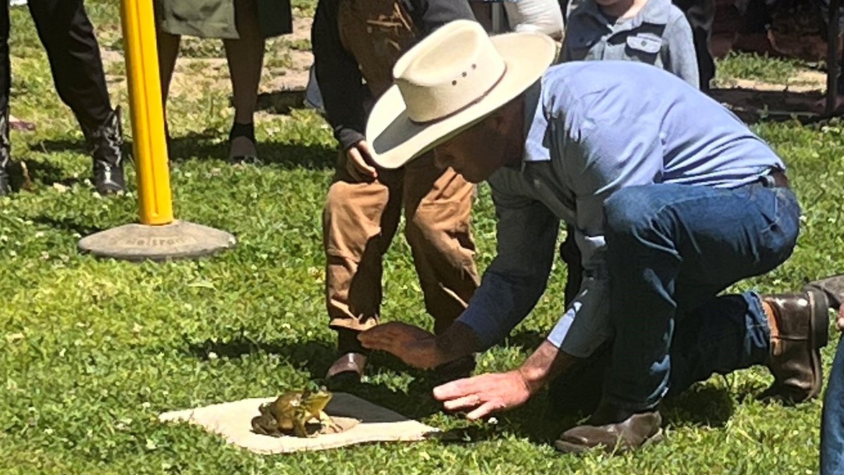 Calaveras County Sup. Jack Garamendi helped kick off today's 48th Capitol Frog Jump, hosted by @AlvaradoGilSD4, that serves as the unofficial launch of the #CalaverasCounty Fair. At the event, the Senator also discussed #RCRC-supported #SB1261 which aims to boost CA fair funding.