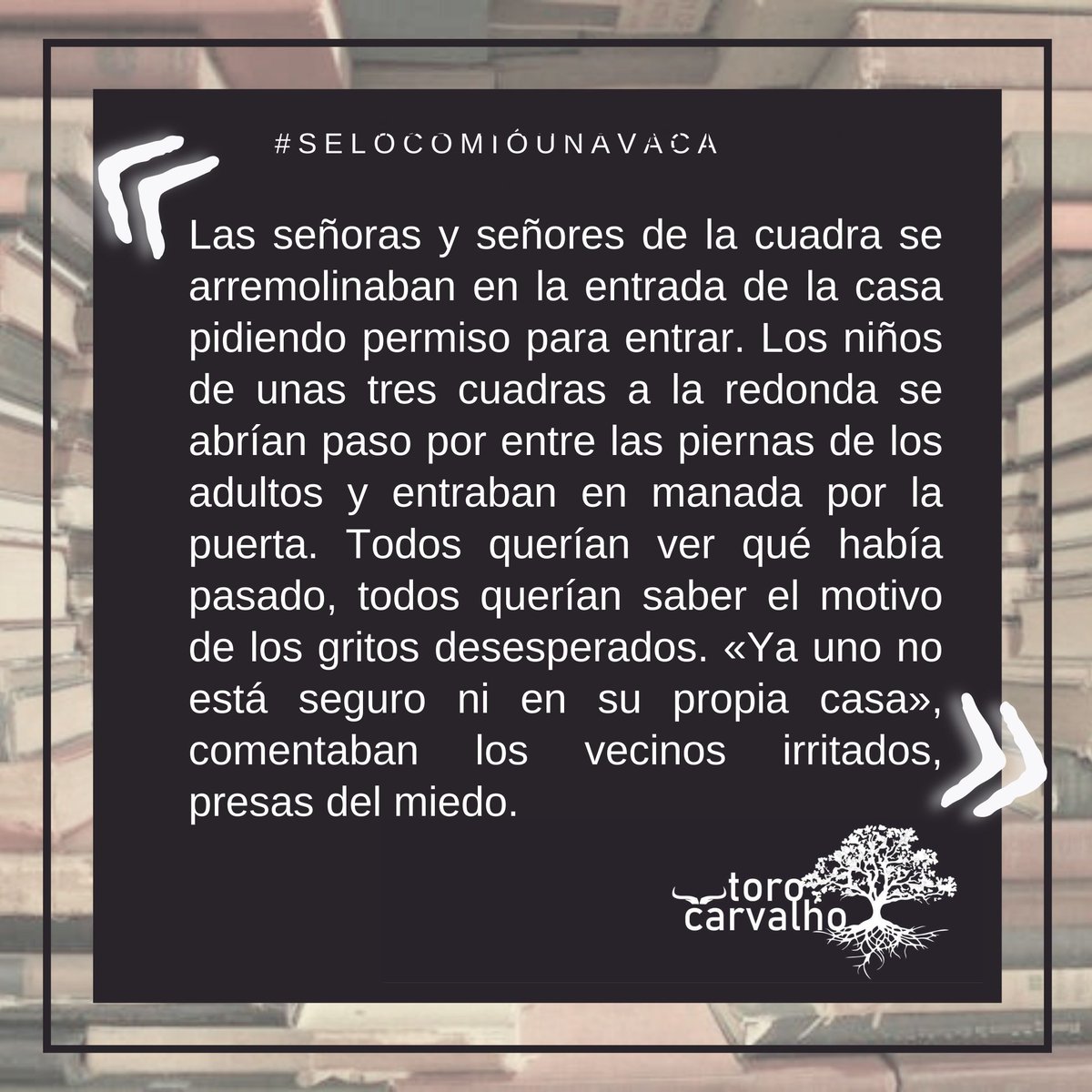 torocarvalho's tweet photo. Ni siquiera se está seguro... de uno mismo.

aparte de uno de los #cuentos de #SeLoComióUnaVaca

#literatura #amoescribir #cultura #arte #es https://t.co/udGFXFRCwf