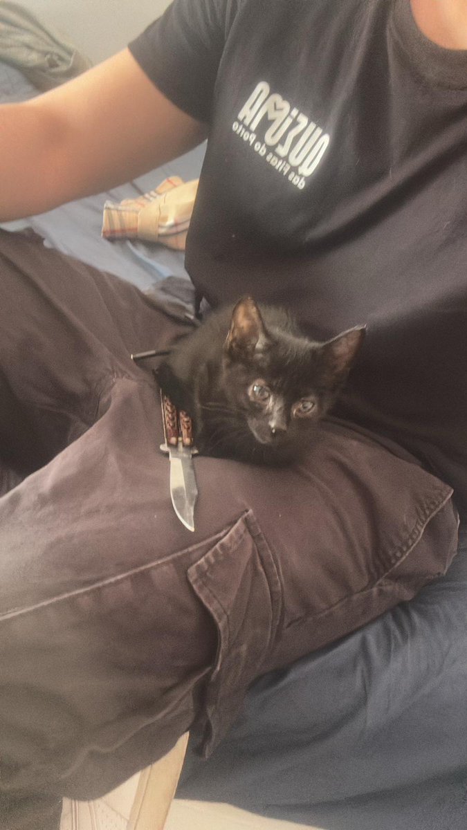 Vokm3n's tweet photo. @sadstonker Ya ya este é o teu gato? Well well well https://t.co/o7VZDlgFgv