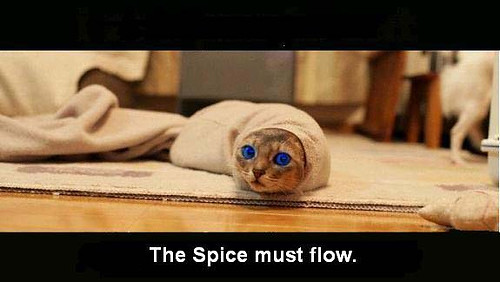 IMMentat's tweet photo. @Pilestedt @helldivers2 Respectfully, keep planned content and patches flowing
YOU &amp; the content are keeping us engaged

The pointless nerfs, CMs on attack-mode, "SOnY" isues &amp; constant spawn-changes/solo-hate not so much

Dot-fix crash-fixes patch was a great move
Avoid ALL nerfs for a month (at least) https://t.co/JImt9ELKHO