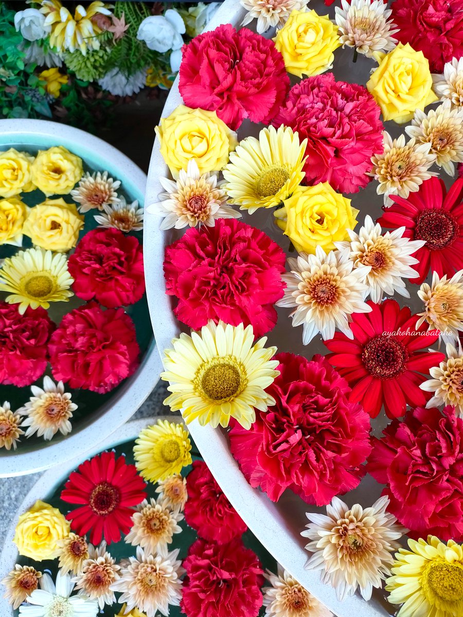おはようございます。
朝はまだ☔が降ったり、止んだり。
気温が上がらないので上着は必須ですよ～🧥

⁡#キリトリセカイ⁡
⁡#ファインダー越しの私の世界⁡
⁡#花手水  ⁡#花手水鉢 ⁡
⁡#花手水めぐり ⁡#花手水が好き
#花が好き #私の花の写真
#TLを花でいっぱいにしよう
