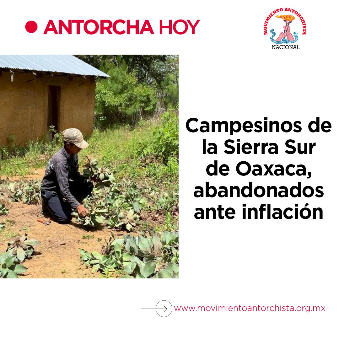 🌾🔴l La inflación, el nulo apoyo del gobierno para inversión seria en el campo y la falta de lluvia en la región de la Sierra Sur de Oaxaca, son algunos de los elementos que han afectado a los más de 300 vecinos de El Cerrito. movimientoantorchista.org.mx/campesinos-de-…