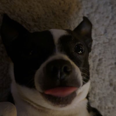 symzos's tweet image. #NewProfilePic