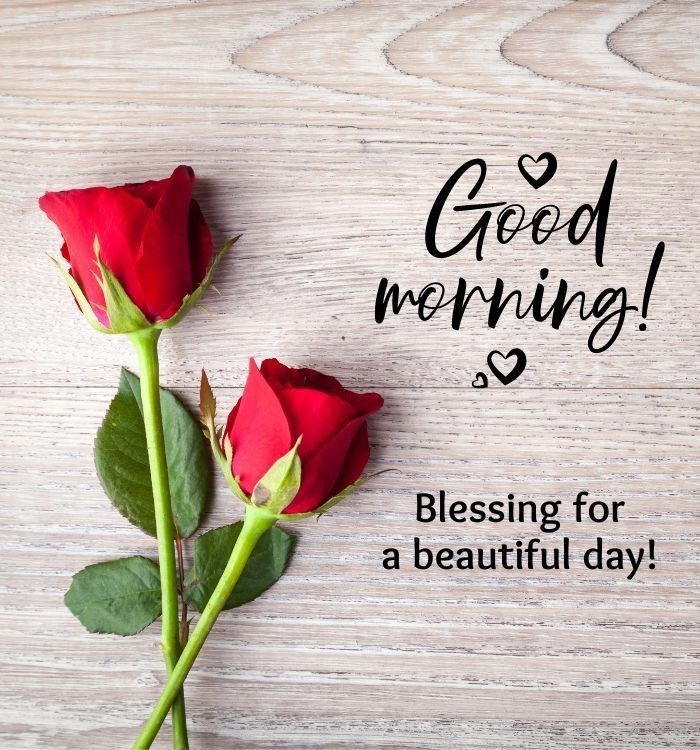 Asalam o alikum x family 😘 
.
Good morning friend's 🌞🌅 
.
Have a nice day ☺️