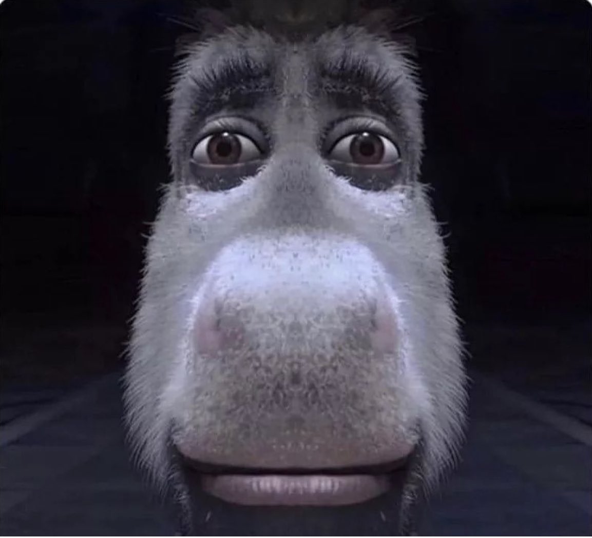 Lazer Hog (@lazerhog) on Twitter photo 