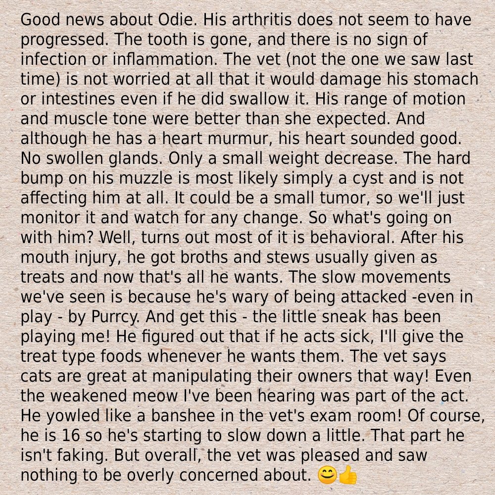 Update on Odie's vet appointment. You are not gonna believe this! Or for those who know Odie and his antics well, you probably will. 😂