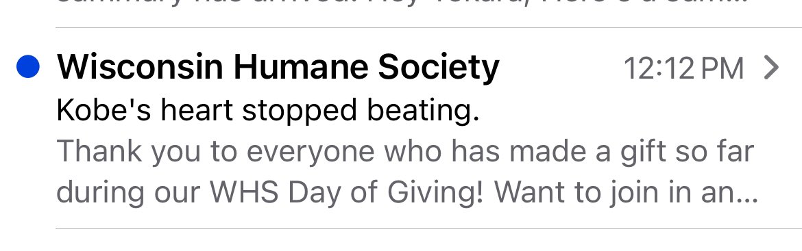 tater_tea's tweet photo. this subject line is wild lmao (the dog is ok tho) https://t.co/5jd4H8Vw1T