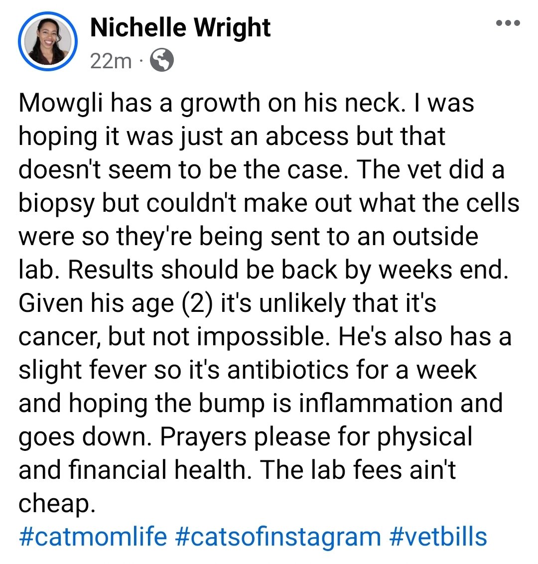 #catmomlife #cancer #vetbills