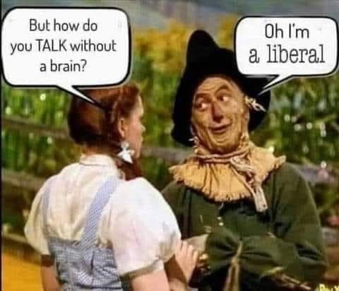 #MAGAWINS2024🍊🇺🇸#NEVERCOMPLY A #classic in my book and sooo true!