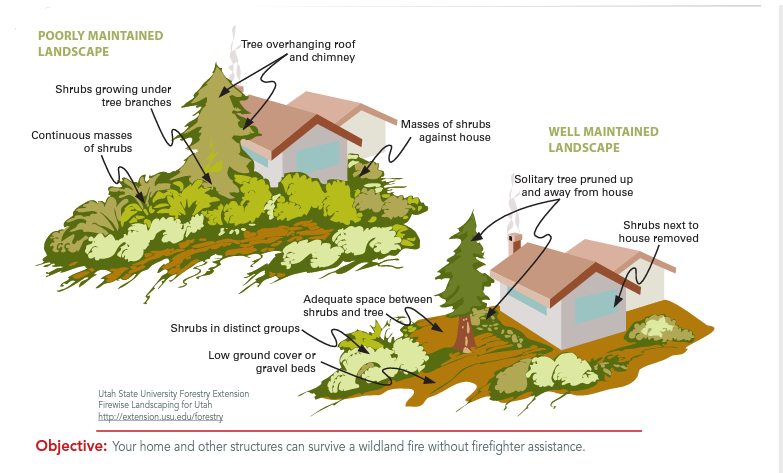 If you're doing a little spring cleaning this weekend, here’s a great illustration of what well-maintained landscaping looks like to help make your property more resistant to a wildland fire. Find more useful information in the Alaska #Firewise guide 👉ow.ly/2h5v50IWC23