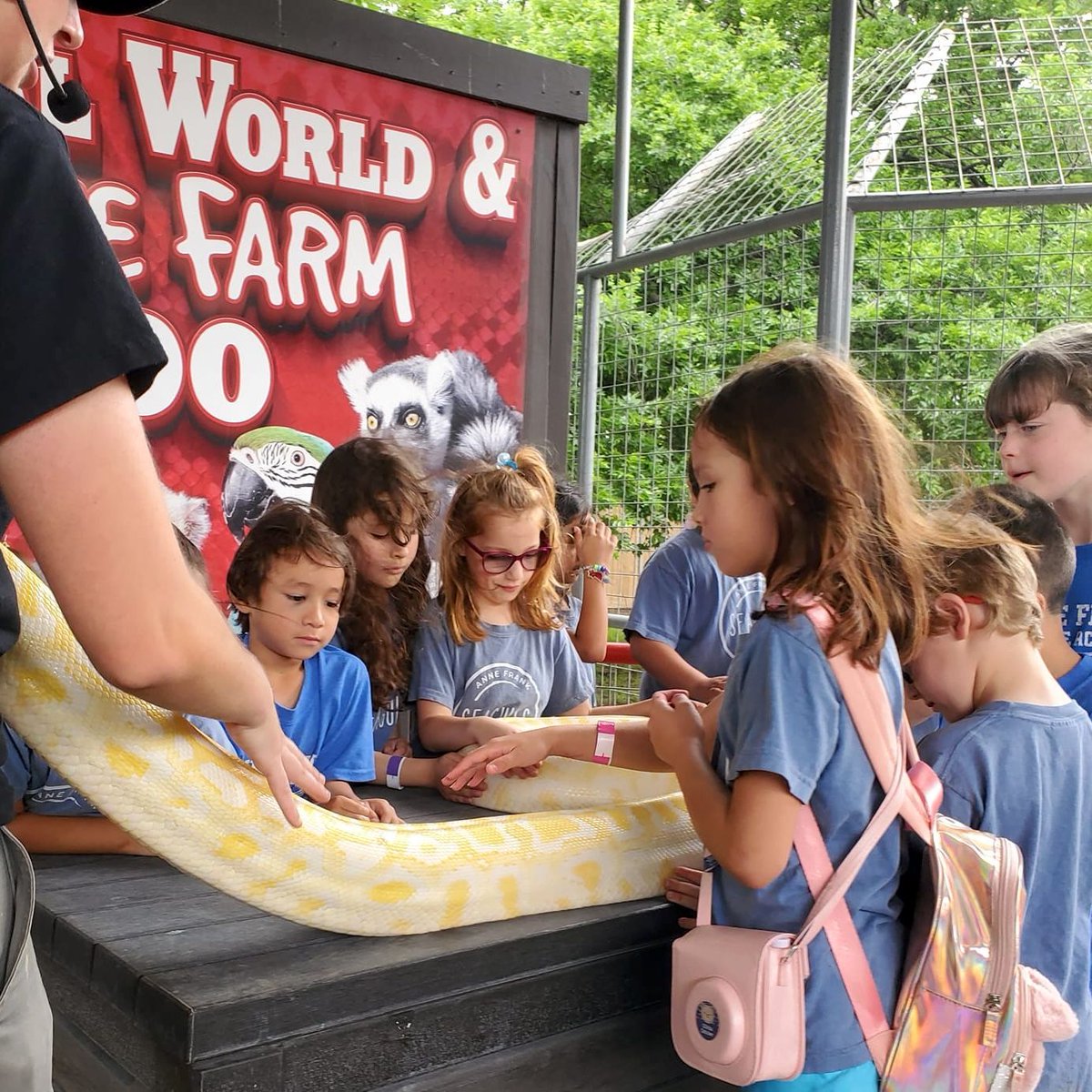 Anne Frank IA tweet media