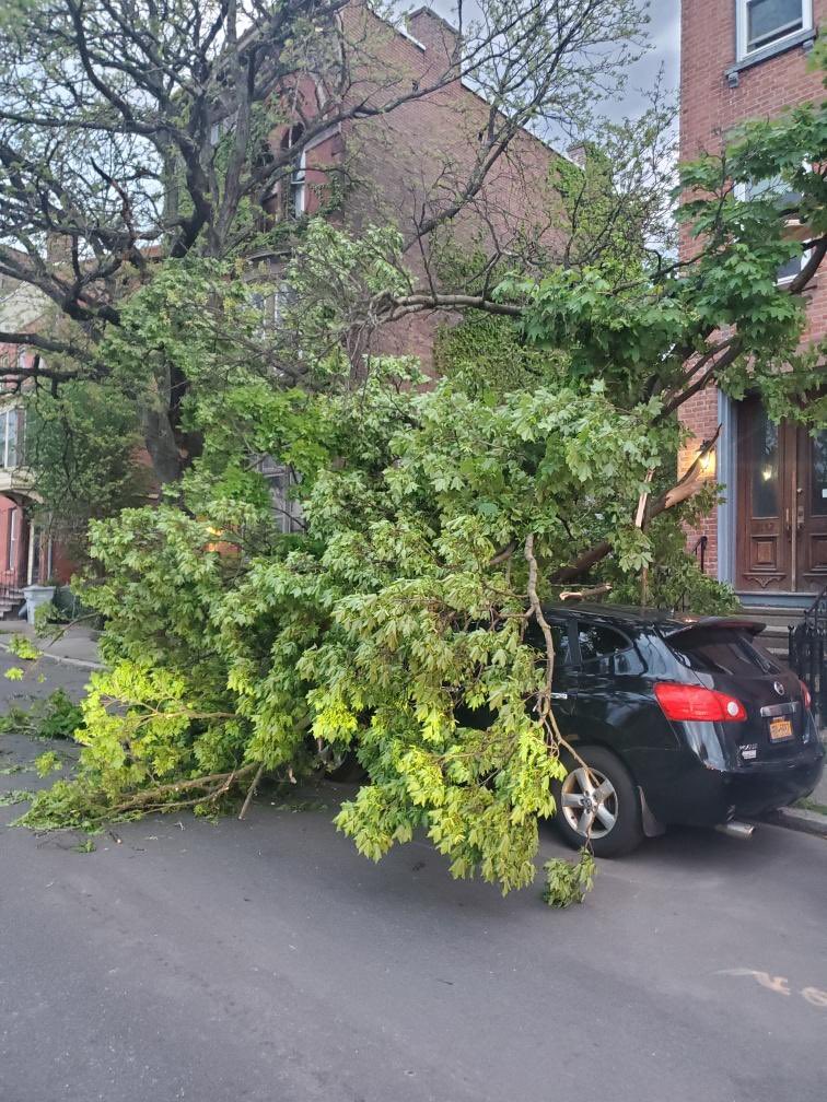 Wind was fierce! 5th and Federal. Tree down. Crews on scene. Please stay clear of the area. #troyny