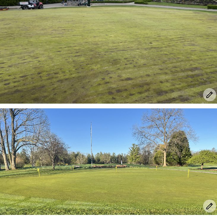 anthracnose's tweet photo. Thanks for the kind feedback Mark on our Dryject Maximus application to the expanded green areas on 36 greens plus the entire putting green. A very saturated soil but sand injected to its proper place :) Elmridge Golf Club . Before / After look . #Soltek #dryject https://t.co/QC9GtPIhjz