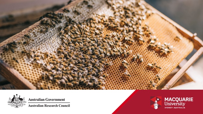 Macquarie University (@macquarie_uni) on Twitter photo Three Macquarie University researchers have been successful in the 2024 round of the Australian Research Council’s Early Career Industry Fellowship scheme, announced this week.
<a href="/arc_gov_au/">Australian Research Council</a> #MacquarieUniversity Three Macquarie University researchers have been successful in the 2024 round of the Australian Research Council’s Early Career Industry Fellowship scheme, announced this week.
<a href="/arc_gov_au/">Australian Research Council</a> #MacquarieUniversity