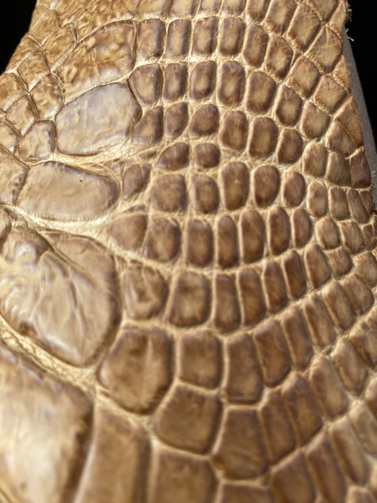 sandra ireson tweet media