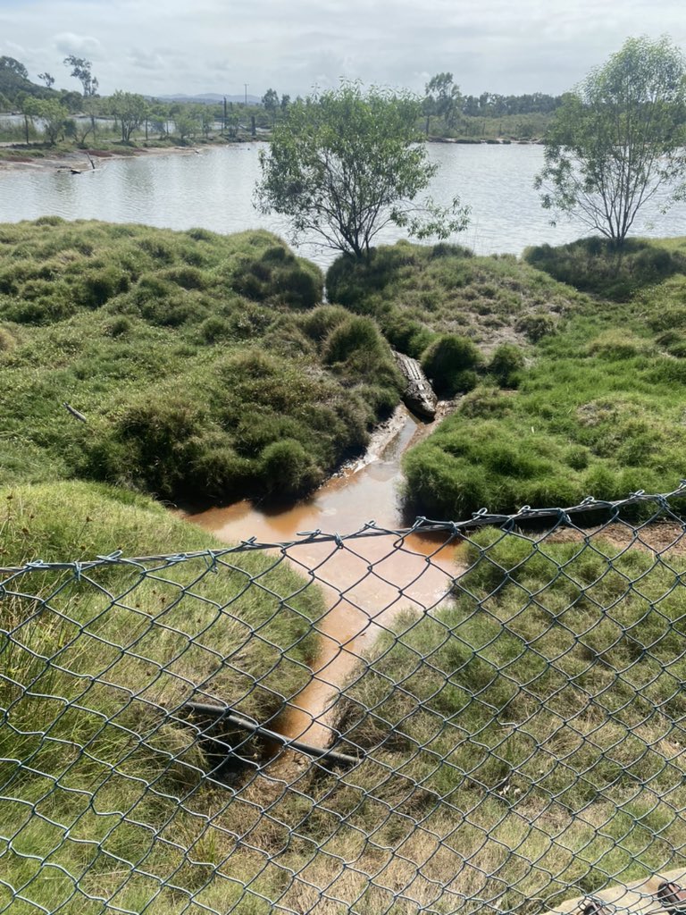 sandra ireson tweet media