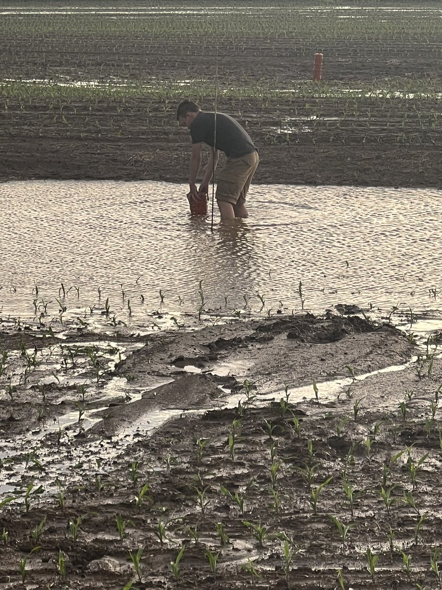 Weltefarms's tweet photo. Starting to earn his keep. https://t.co/OSKc7oPC2a