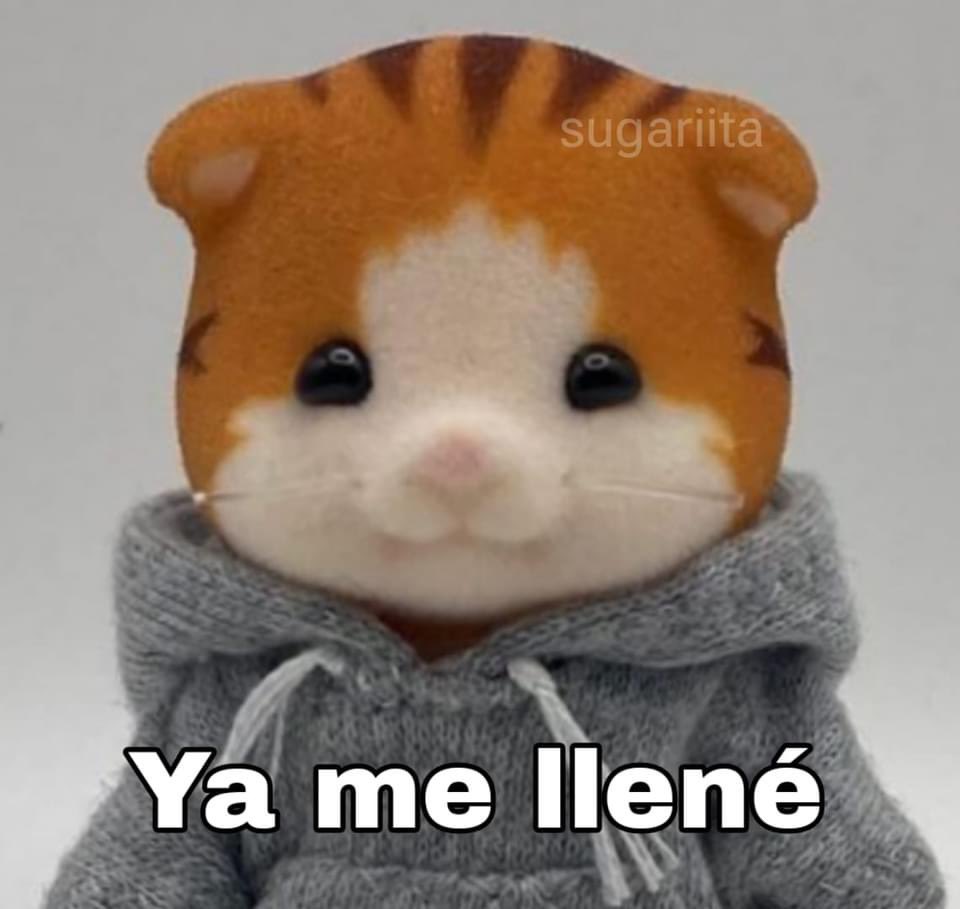 Guarromantico_'s tweet photo. Yo después de estar insistiendo que me llevaran a un buffet: https://t.co/oZlN7EeeeR