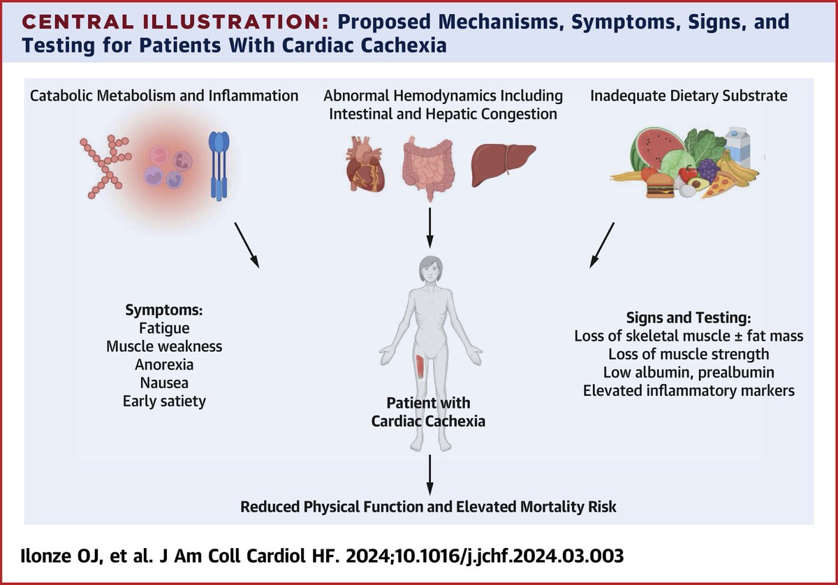 Have questions about the diagnosis, mechanisms and implications of #cardiaccachexia? 💔 In our new #JACCHF paper we seek to answer such conundrums & chart next steps to understand wasting in #HFrEF 💪 link: authors.elsevier.com/a/1j39t7tD%7EZ… @Womenintxp_mcs @CleClinicHVTI @TuftsMCResearch
