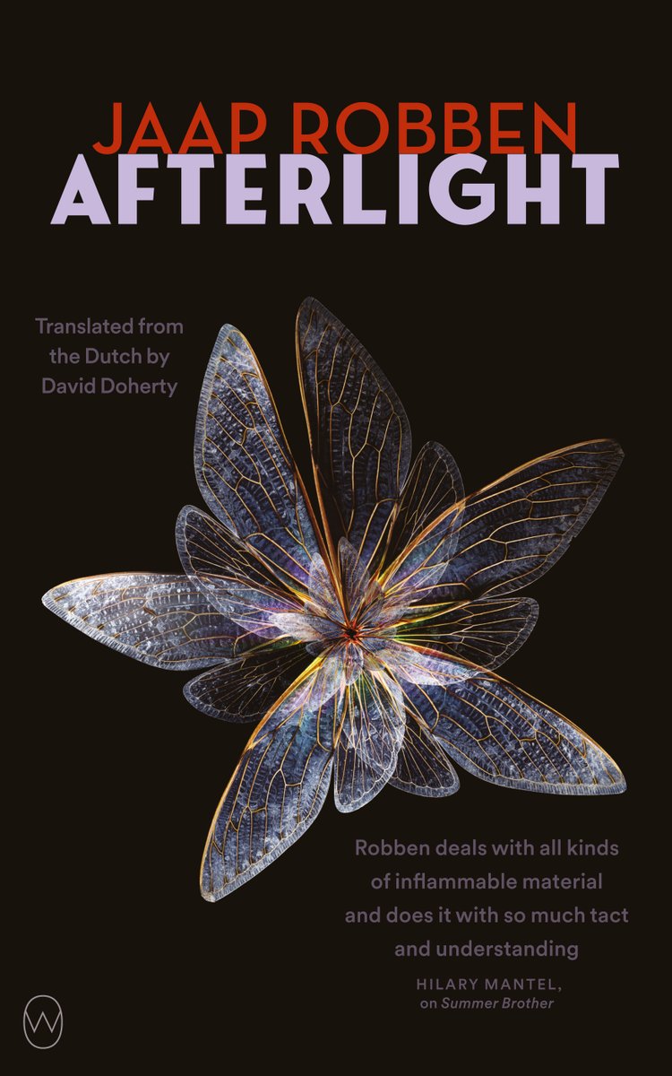 'With its tight sentences and a fast pace, AFTERLIGHT moves like detective fiction. It’s a poignant novel in which a single pregnant woman is mistreated in her conservative society; she remains resilient and determined to honor her baby’s memory.' @ForewordReviews