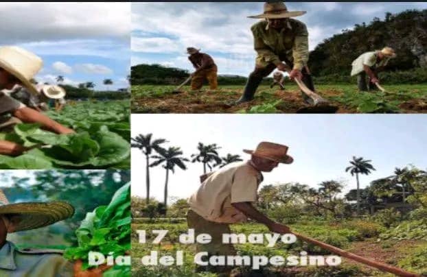 Se acerca el #17Mayo Día del Campesino cubano y aniversario 65 de la firma de la ley de Reforma Agraria, inmersa la #AnapCuba en el proceso Orgánico de su #13Congreso #Cuba #UnidosXCuba