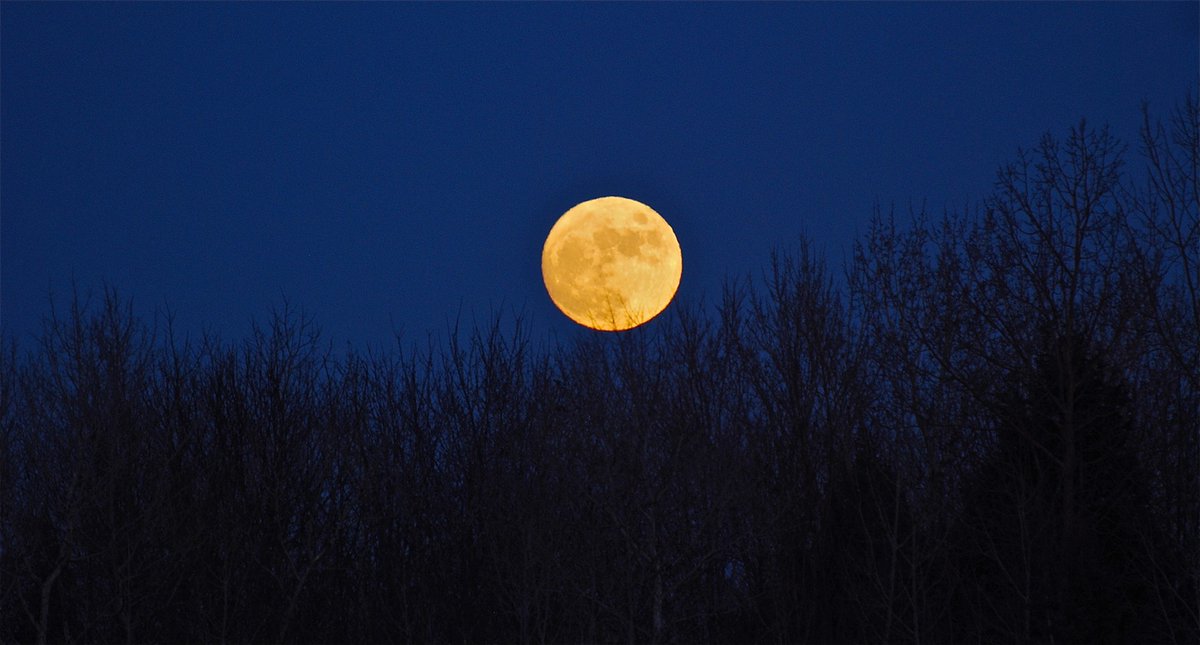 #fullmoon #fullmoonphotography #nikonphotography #nikond60 #lorignalontario #hawkesburyontario #photography #photooftheday #photographer #tbt❤️ #fbf❤️ #WBW #evening