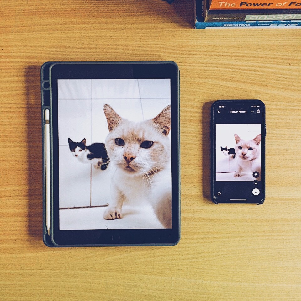 Han Sena tweet media