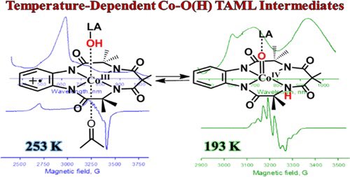 Identification, Characterization, and Electronic Structures of Interconvertible Cobalt–Oxygen TAML Intermediates

@J_A_C_S #Chemistry #Chemed #Science #TechnologyNews #news #technology #AcademicTwitter #ResearchPapers

pubs.acs.org/doi/10.1021/ja…