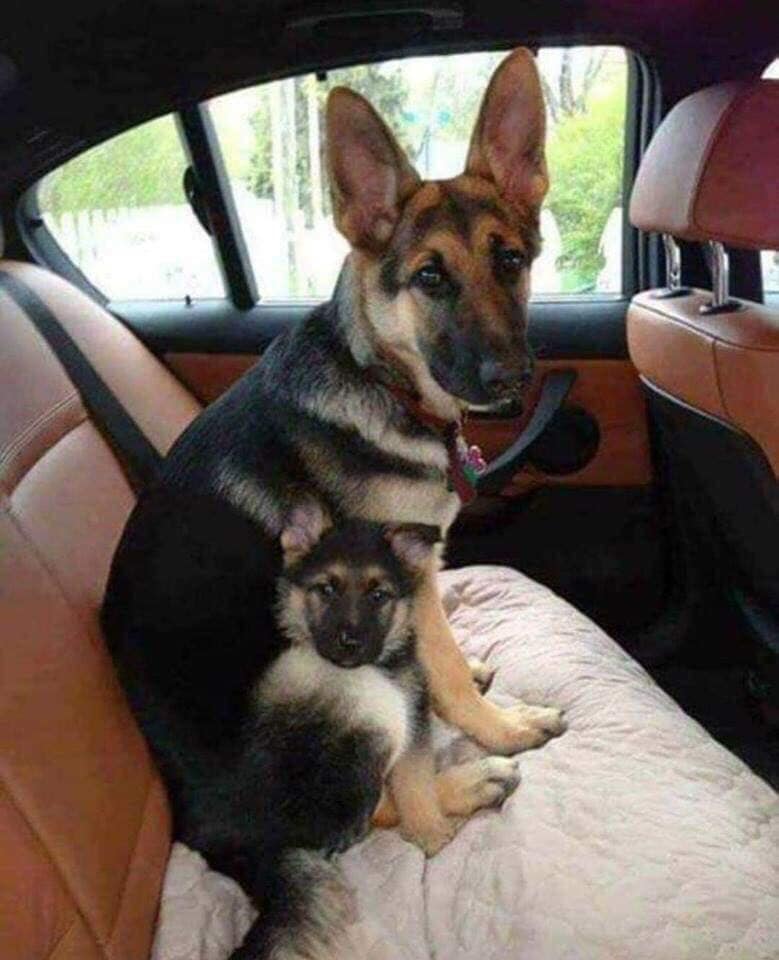 Beautiful mama and baby.