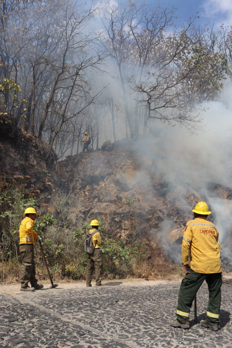 @CONAFOR @ZapopanGob #Actualización El incendio 🔥🌲 en el ANP de La Primavera cercana a San José de la Montaña se reporta como #Controlado. Las y los brigadistas continuarán con las labores de liquidación y enfriamiento en el lugar.