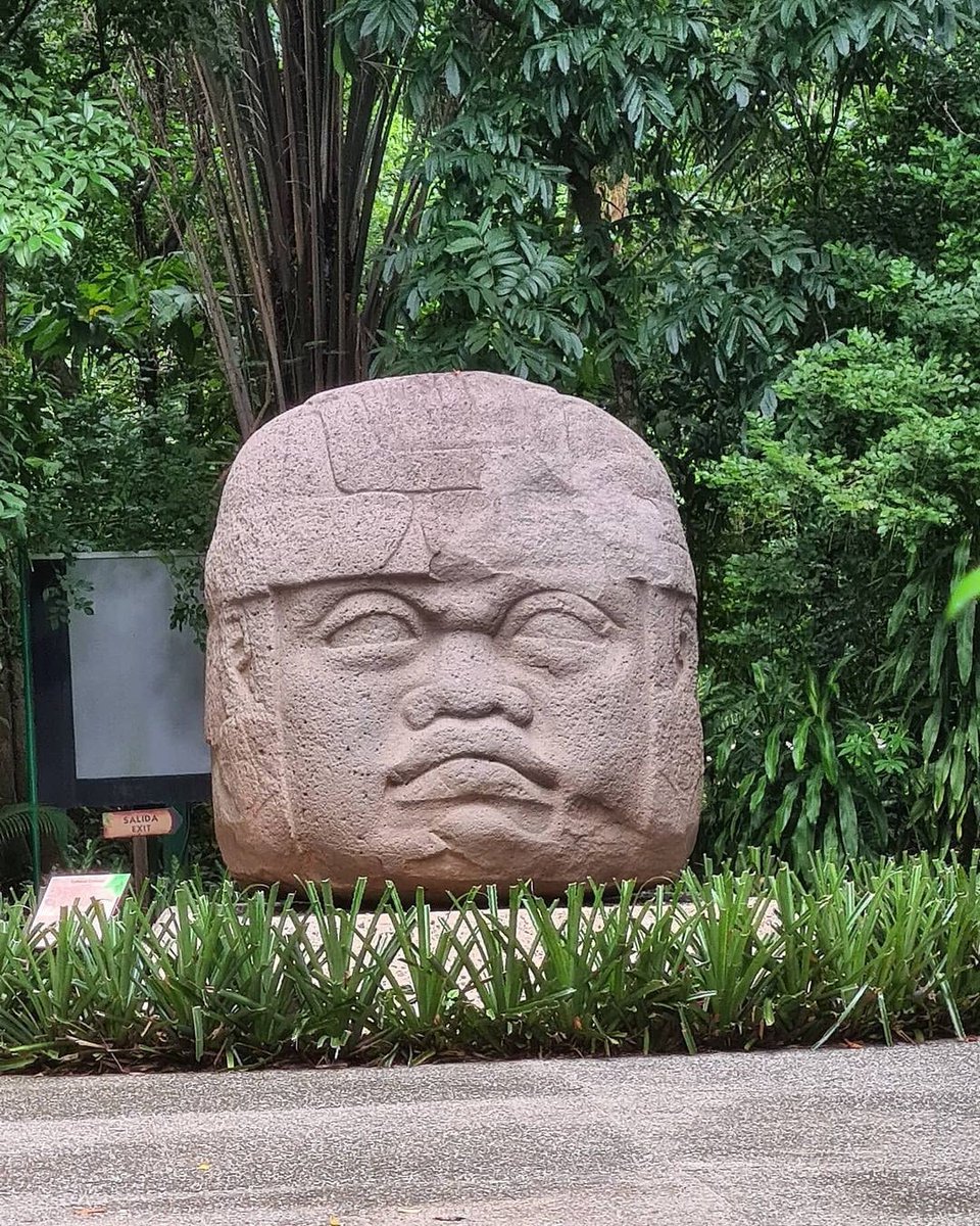 ¿Sabías qué existen 17 cabezas colosales de la civilización Olmeca descubiertas hasta ahora? 

La más famosa es la denominada 'Cabeza del guerrero' exhibida en el Parque Museo de La Venta en Villahermosa.
📸 IG: mcneto_vidal