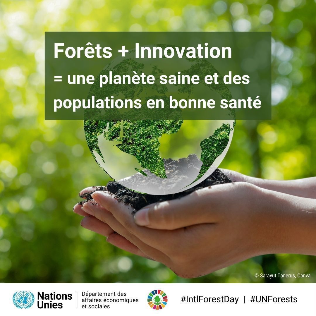 1 👨👩 sur 4 dépend des forêts pour sa nourriture, son eau, son carburant et son emploi. 🌳 🌿🌴Des forêts en bonne santé = une planète et des personnes en bonne santé. 💚 📍 Le Forum de @UNDESA sur les forêts se tient jusqu'au 10 mai. ➕ ℹ️ buff.ly/4b1skdR