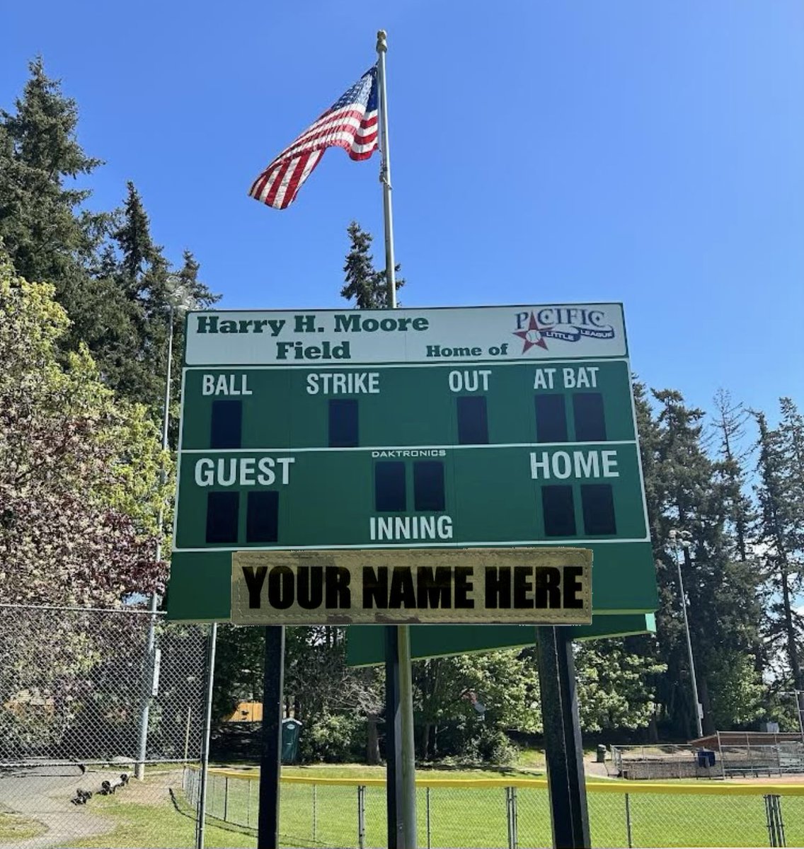 Did you ever wonder who gets to name the fields and scoreboards at Lynndale? Those naming rights are won at the auction! Naming rights for fields 1-3 and scoreboard naming rights for field 1 for the 2025 season is a live auction item available in person at the auction.