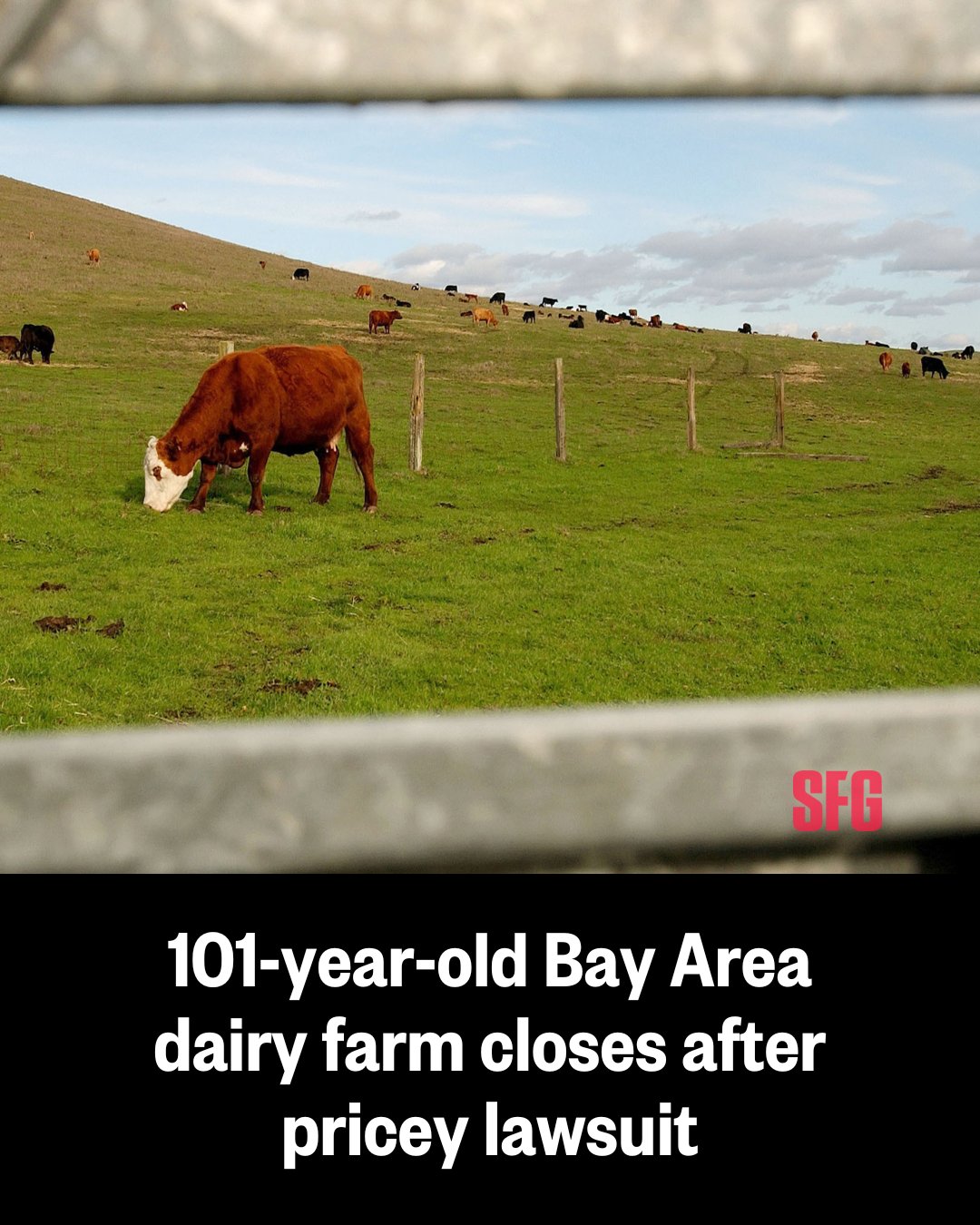 SFGATE on X: &ldquo;Sonoma County&rsquo;s Mulas Dairy closed in October after 