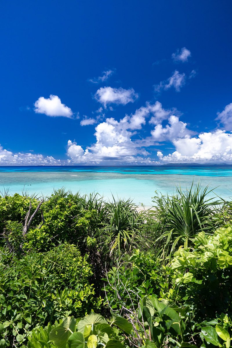 人が少ないほどストレスが溜まらない
人工物がない風景ほどやすらぐ

癒しの沖縄離島 波照間島