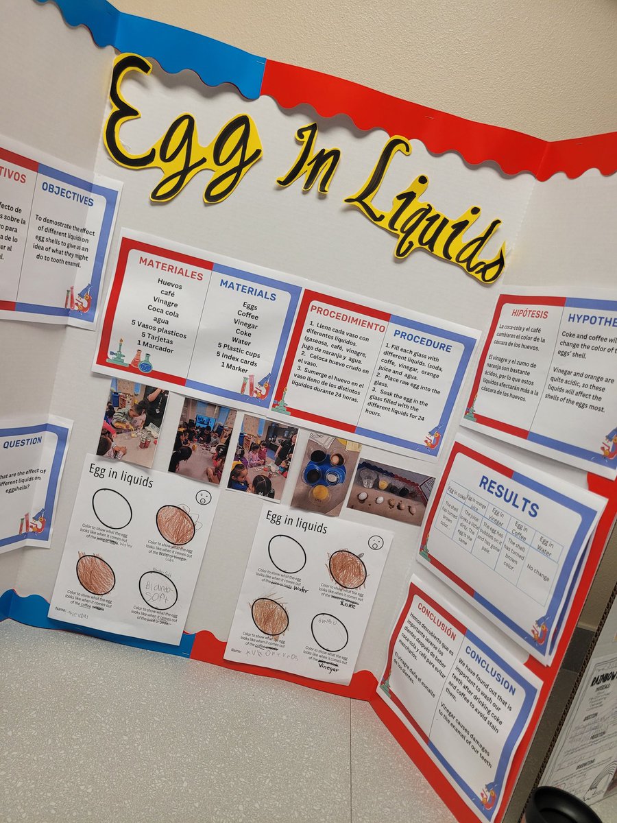 elda_sps's tweet image. La feria de la Ciencia en @ogden_lions. Aprendimos mucho, pero escuchen a este estudiante explicando su proyecto en Español. 🤯💡 @SAISDBilingual