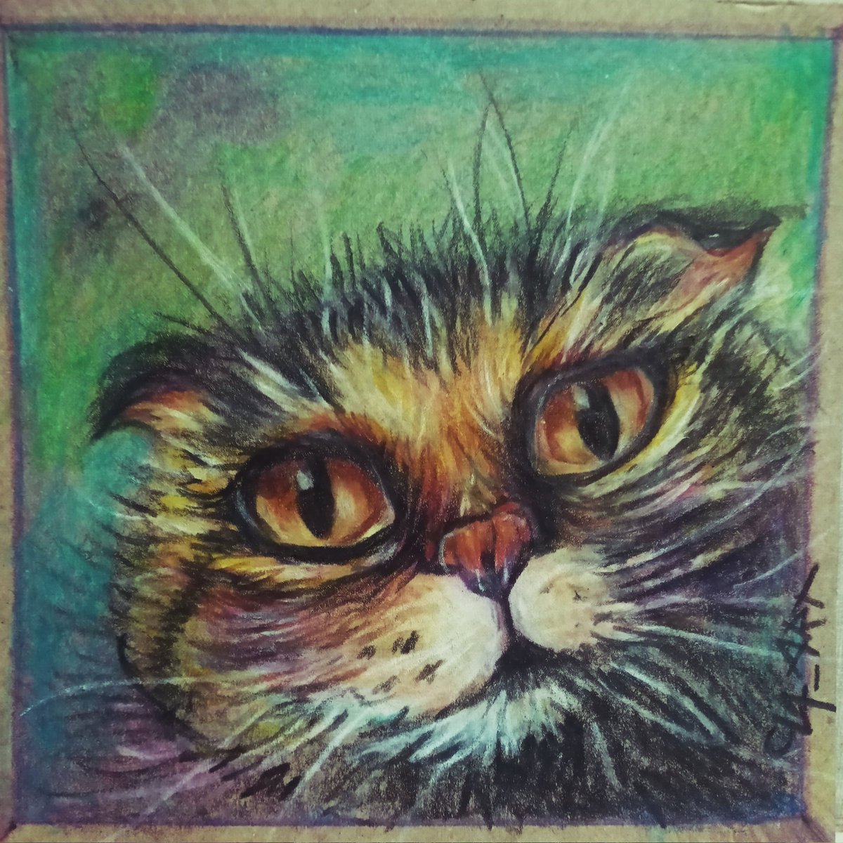 #criptocat