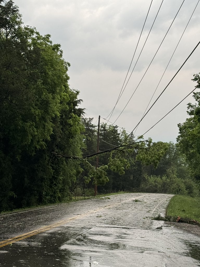 19:32 / Lots of large trees down on Midland Road and New Zion road, a tree is resting on power lines and on top of a house. I yelled to the house but no one seemed to to be home. Near Midland, TN

<a href="/NWSNashville/">NWS Nashville</a> 
<a href="/ryanhallyall/">Ryan Hall, Y’all</a> 
<a href="/NashSevereWx/">NashSevereWx</a> 
<a href="/RuthSevereWx/">RuthSevereWx</a> 
#tspotter