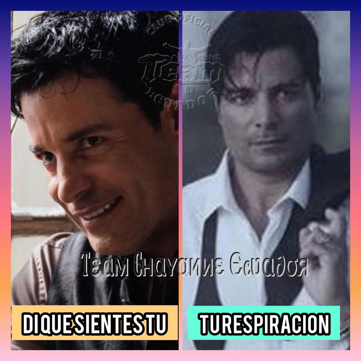 teamchayanne_ec's tweet photo. Cual prefieres tu???
#Diquesientestu #turespiracion 
@CHAYANNEMUSIC  #Chayanne  #TeamChayanneEcuador  🇪🇨🇪🇨🇪🇨 https://t.co/mKwZuIhcyF