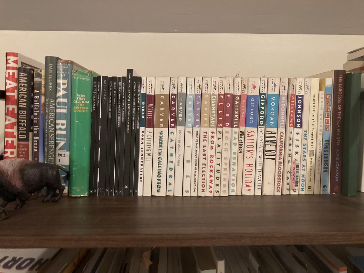 Buffalo books + Autofocus + Vintage Contemporaries = Maybe my fave bookshelf
